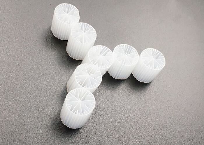 Υδροκαλλιέργεια Υδροκαλλιέργεια