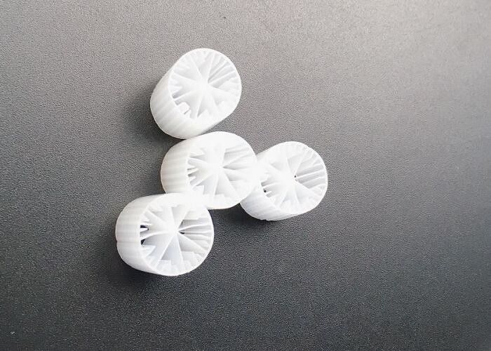 Υδροκαλλιέργεια Υδροκαλλιέργεια