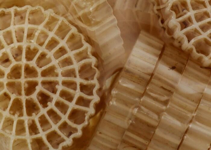 Χερσαία υδατοκαλλιέργεια Ειδική φόρμουλα BIO Balls Filter Media MBBR Για RAS